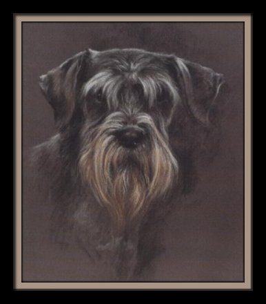 Graphics By Kelly - Schnauzer